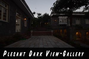 dark-view